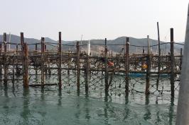 우리 전통죽방렴